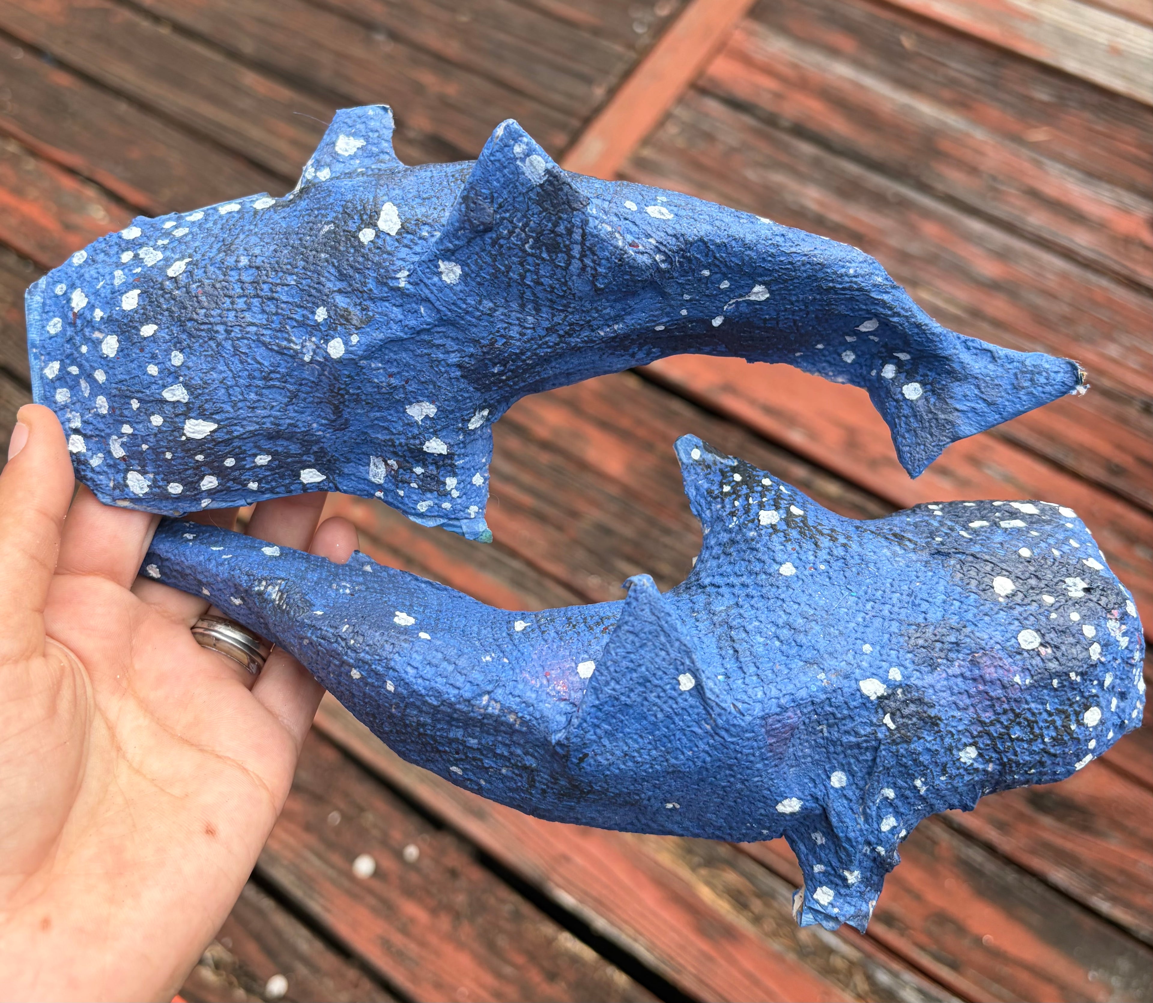 Whale Shark