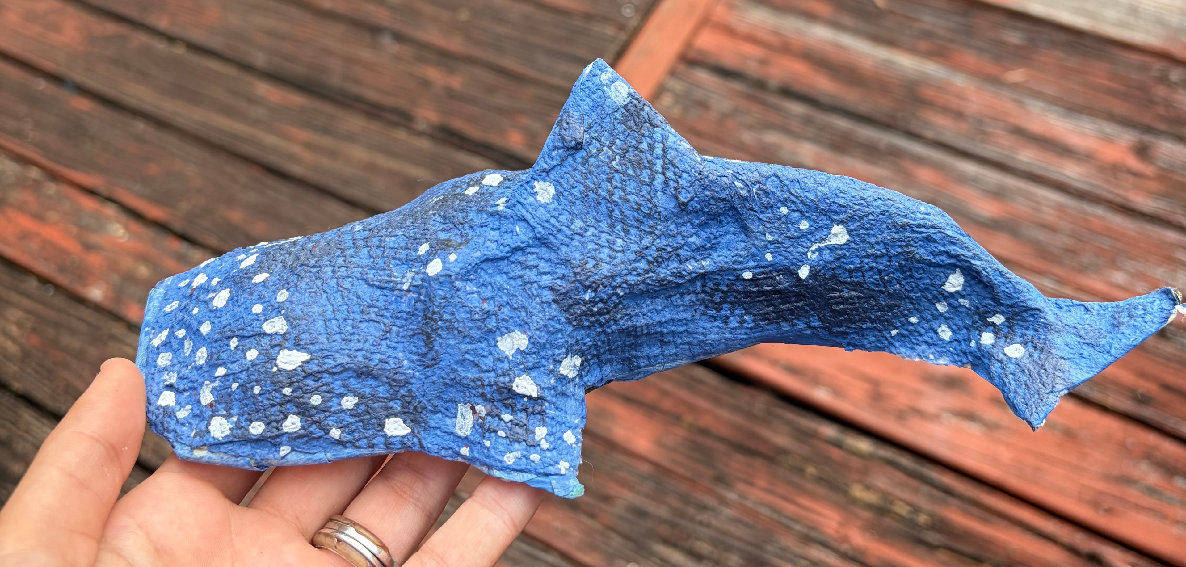 Whale Shark